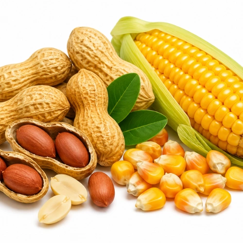 Peanuts